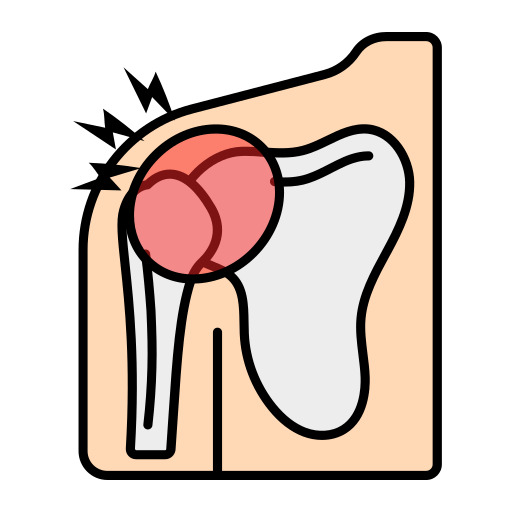 the shoulder joint
